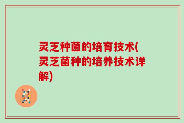 灵芝种菌的培育技术(灵芝菌种的培养技术详解)