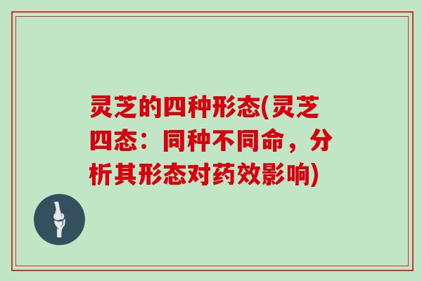 灵芝的四种形态(灵芝四态：同种不同命，分析其形态对药效影响)
