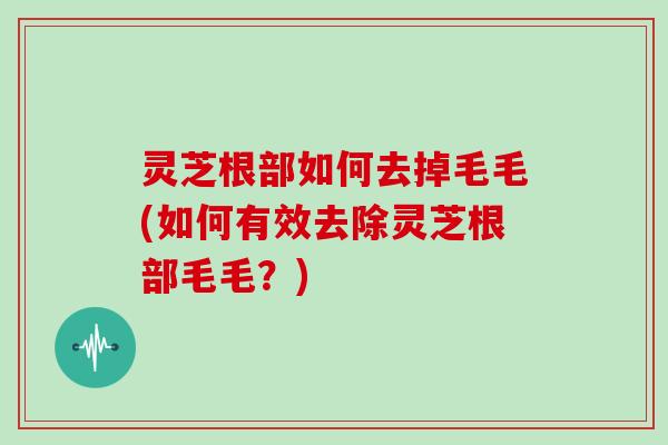 灵芝根部如何去掉毛毛(如何有效去除灵芝根部毛毛？)