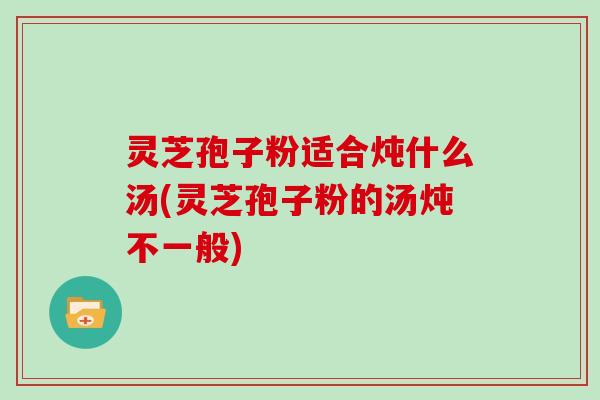 灵芝孢子粉适合炖什么汤(灵芝孢子粉的汤炖不一般)