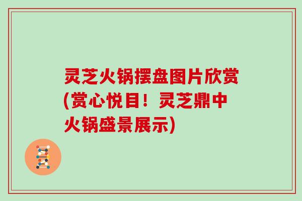 灵芝火锅摆盘图片欣赏(赏心悦目！灵芝鼎中火锅盛景展示)