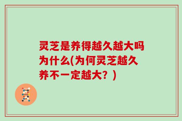 灵芝是养得越久越大吗为什么(为何灵芝越久养不一定越大？)