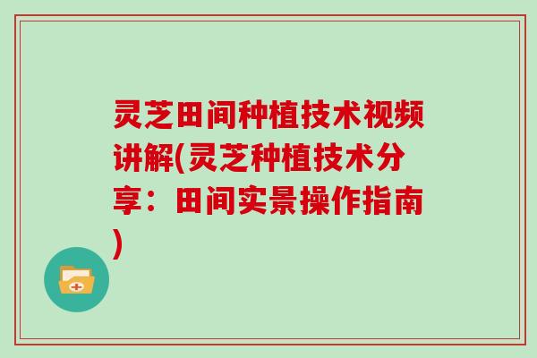 灵芝田间种植技术视频讲解(灵芝种植技术分享：田间实景操作指南)