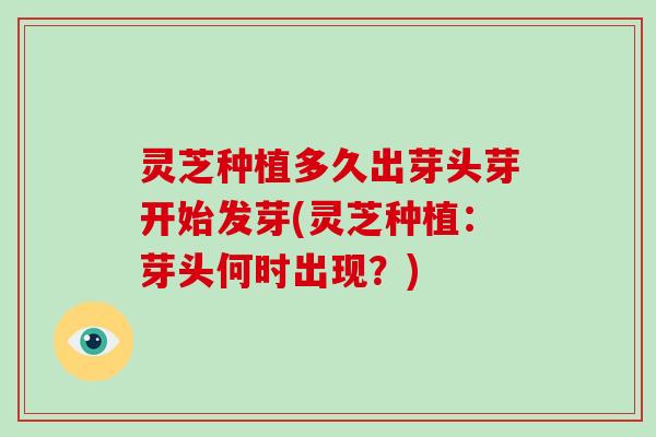 灵芝种植多久出芽头芽开始发芽(灵芝种植:芽头何时出现?)-第1张图片-灵芝大师 灵芝种植多久出芽头芽开始发芽(灵芝种植:芽头何时出现?)-第1张图片-灵芝大师