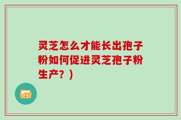 灵芝怎么才能长出孢子粉如何促进灵芝孢子粉生产?)-第1张图片-灵芝大师 灵芝怎么才能长出孢子粉如何促进灵芝孢子粉生产?)-第1张图片-灵芝大师