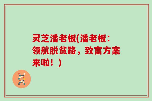 灵芝潘老板(潘老板：领航脱贫路，致富方案来啦！)