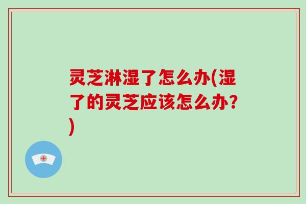 灵芝淋湿了怎么办(湿了的灵芝应该怎么办?)-第1张图片-灵芝大师 灵芝淋湿了怎么办(湿了的灵芝应该怎么办?)-第1张图片-灵芝大师