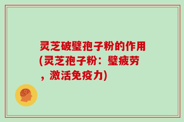 灵芝破璧孢子粉的作用(灵芝孢子粉：璧疲劳，激活免疫力)