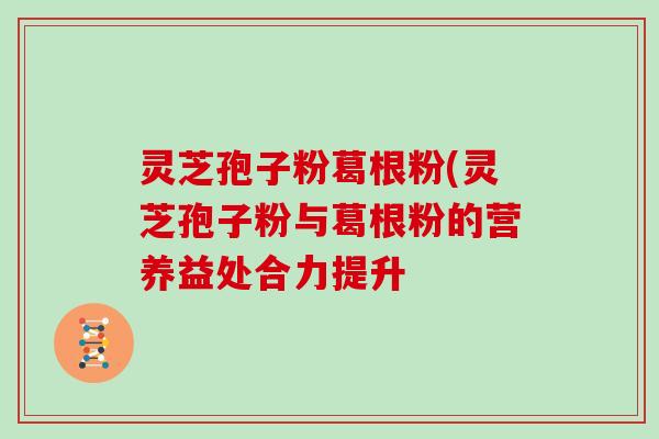 灵芝孢子粉葛根粉(灵芝孢子粉与葛根粉的营养益处合力提升