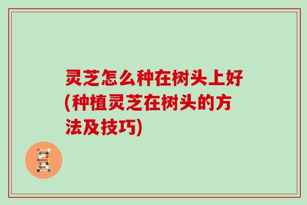 灵芝怎么种在树头上好(种植灵芝在树头的方法及技巧)