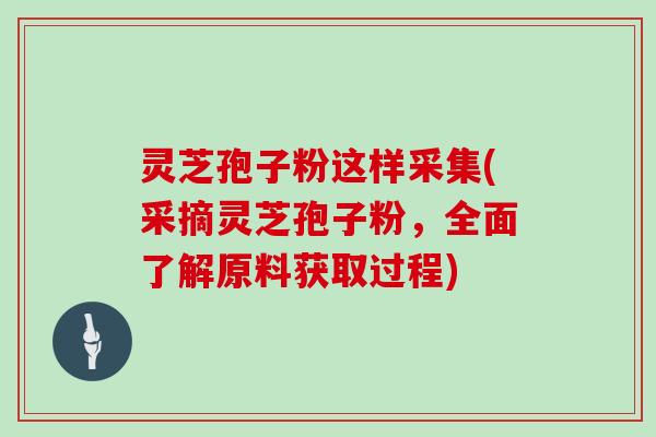 灵芝孢子粉这样采集(采摘灵芝孢子粉，全面了解原料获取过程)