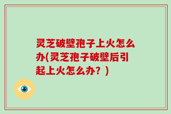 灵芝破壁孢子上火怎么办(灵芝孢子破壁后引起上火怎么办?)-第1张图片-灵芝大师 灵芝破壁孢子上火怎么办(灵芝孢子破壁后引起上火怎么办?)-第1张图片-灵芝大师