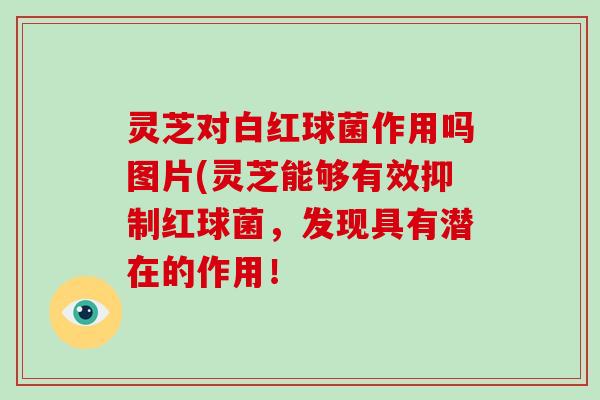 灵芝对白红球菌作用吗图片(灵芝能够有效抑制红球菌，发现具有潜在的作用！