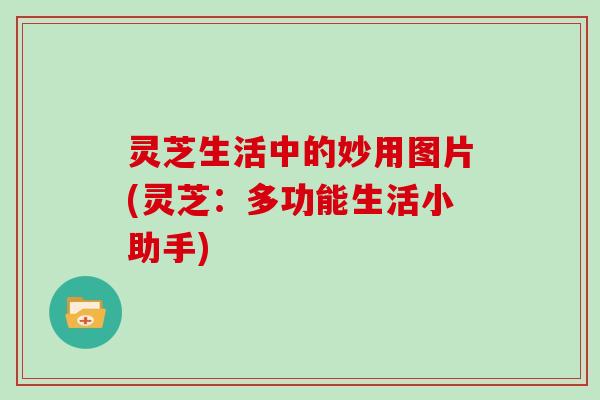 灵芝生活中的妙用图片(灵芝:多功能生活小助手)-第1张图片-灵芝大师 灵芝生活中的妙用图片(灵芝:多功能生活小助手)-第1张图片-灵芝大师