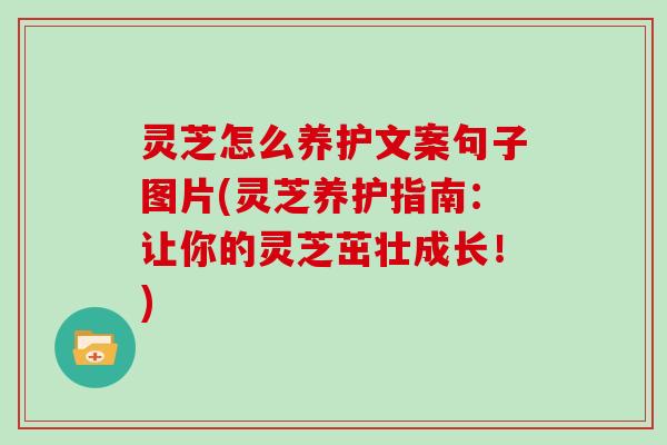 灵芝怎么养护文案句子图片(灵芝养护指南:让你的灵芝茁壮成长!)-第1张图片-灵芝大师 灵芝怎么养护文案句子图片(灵芝养护指南:让你的灵芝茁壮成长!)-第1张图片-灵芝大师