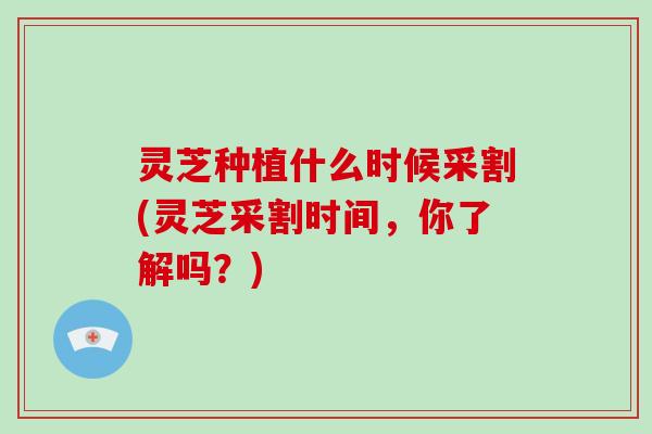 灵芝种植什么时候采割(灵芝采割时间，你了解吗？)