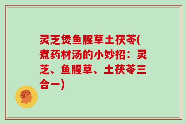 灵芝煲鱼腥草土茯苓(煮药材汤的小妙招:灵芝、鱼腥草、土茯苓三合一)-第1张图片-灵芝大师 灵芝煲鱼腥草土茯苓(煮药材汤的小妙招:灵芝、鱼腥草、土茯苓三合一)-第1张图片-灵芝大师