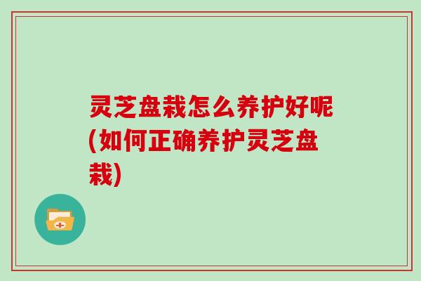 灵芝盘栽怎么养护好呢(如何正确养护灵芝盘栽)-第1张图片-灵芝大师