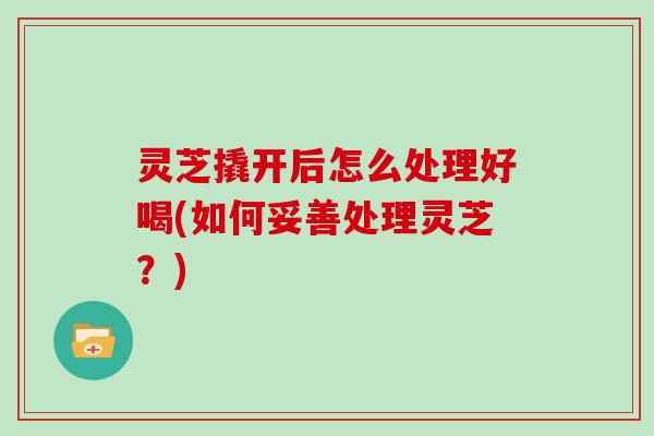 灵芝撬开后怎么处理好喝(如何妥善处理灵芝？)