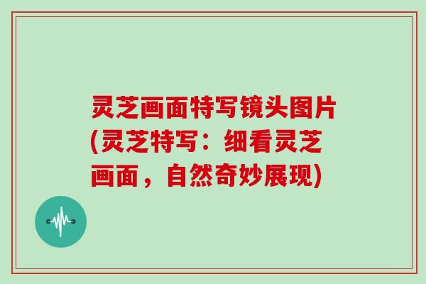 灵芝画面特写镜头图片(灵芝特写：细看灵芝画面，自然奇妙展现)
