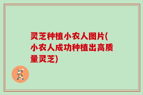灵芝种植小农人图片(小农人成功种植出高质量灵芝)