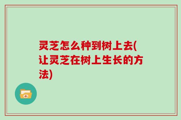 灵芝怎么种到树上去(让灵芝在树上生长的方法)