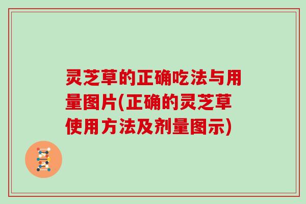 灵芝草的正确吃法与用量图片(正确的灵芝草使用方法及剂量图示)