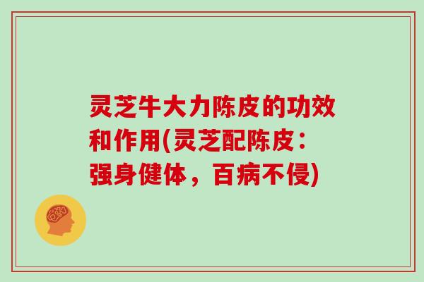 灵芝牛大力陈皮的功效和作用(灵芝配陈皮：强身健体，百病不侵)