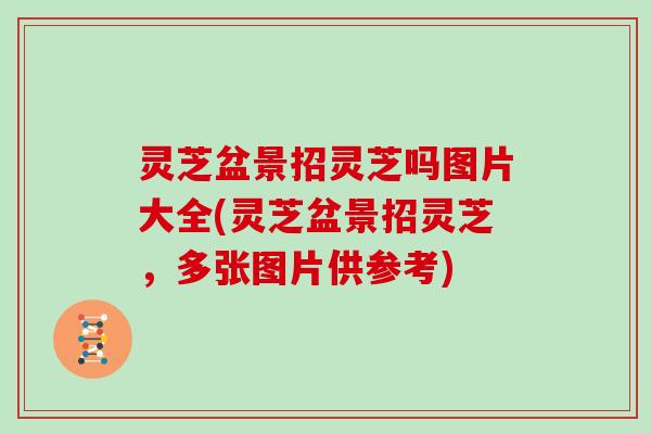 灵芝盆景招灵芝吗图片大全(灵芝盆景招灵芝，多张图片供参考)