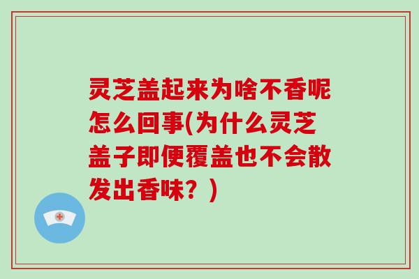 灵芝盖起来为啥不香呢怎么回事(为什么灵芝盖子即便覆盖也不会散发出香味？)