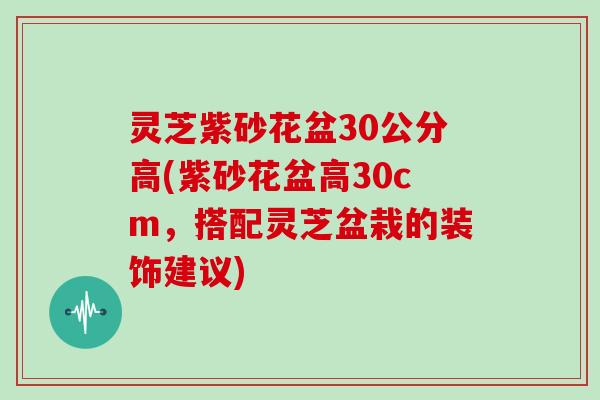 灵芝紫砂花盆30公分高(紫砂花盆高30cm，搭配灵芝盆栽的装饰建议)