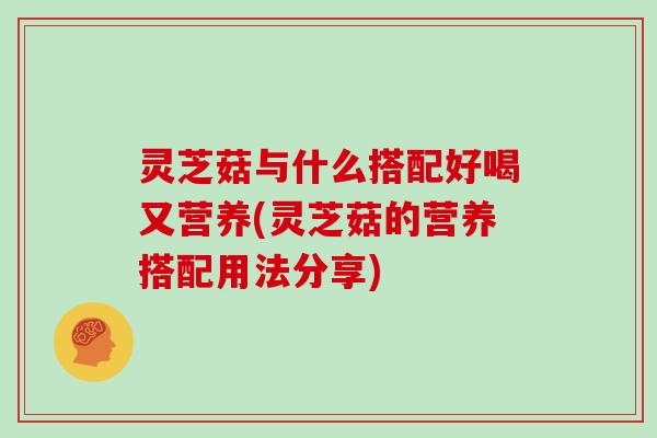 灵芝菇与什么搭配好喝又营养(灵芝菇的营养搭配用法分享)