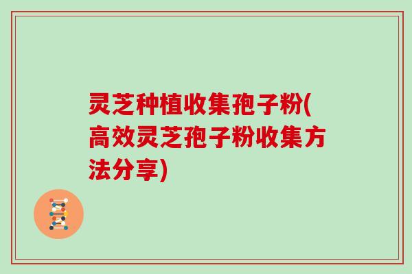 灵芝种植收集孢子粉(高效灵芝孢子粉收集方法分享)