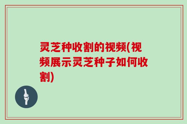 灵芝种收割的视频(视频展示灵芝种子如何收割)