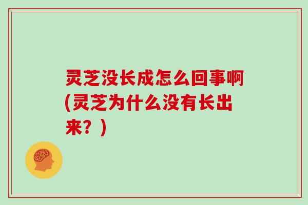 灵芝没长成怎么回事啊(灵芝为什么没有长出来？)