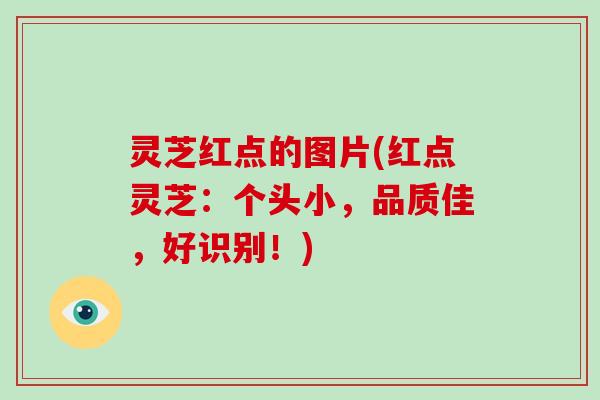 灵芝红点的图片(红点灵芝：个头小，品质佳，好识别！)