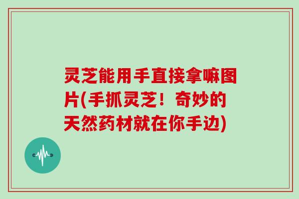 灵芝能用手直接拿嘛图片(手抓灵芝！奇妙的天然药材就在你手边)