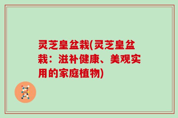 灵芝皇盆栽(灵芝皇盆栽：滋补健康、美观实用的家庭植物)