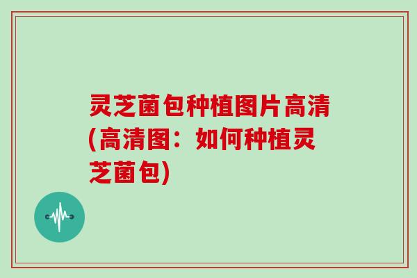 灵芝菌包种植图片高清(高清图：如何种植灵芝菌包)