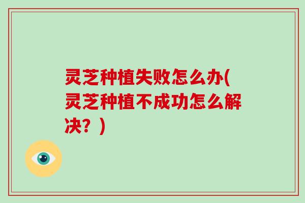 灵芝种植失败怎么办(灵芝种植不成功怎么解决？)