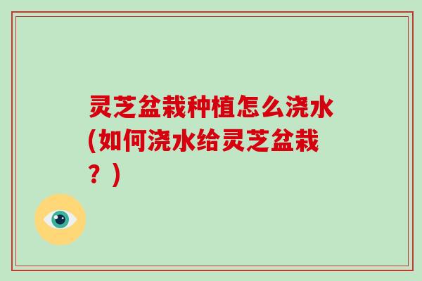 灵芝盆栽种植怎么浇水(如何浇水给灵芝盆栽？)