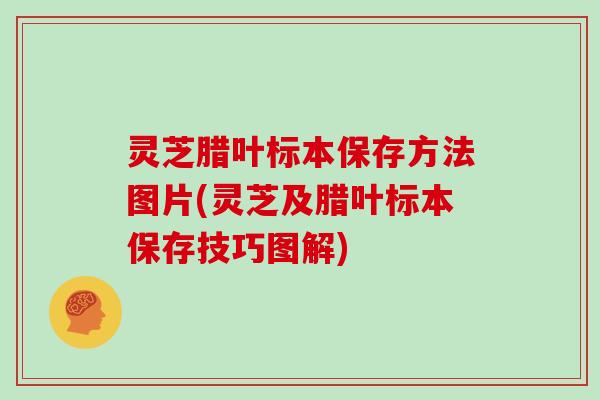 灵芝腊叶标本保存方法图片(灵芝及腊叶标本保存技巧图解)