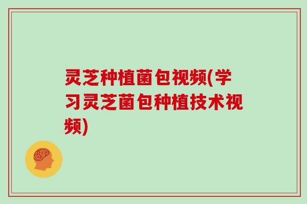 灵芝种植菌包视频(学习灵芝菌包种植技术视频)