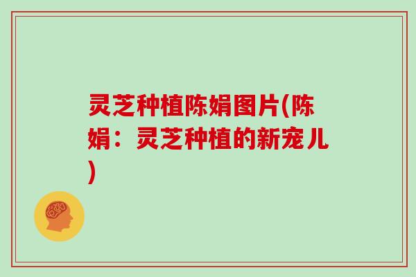 灵芝种植陈娟图片(陈娟：灵芝种植的新宠儿)