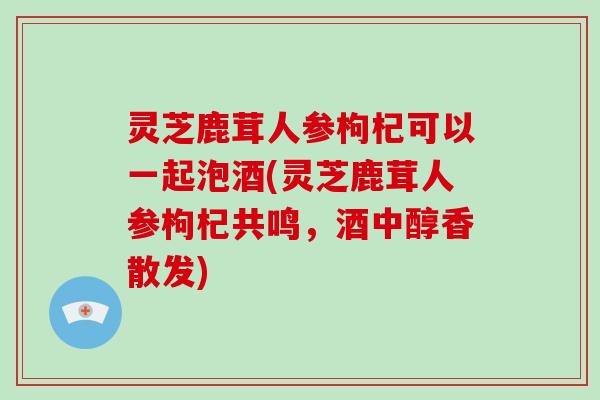 灵芝鹿茸人参枸杞可以一起泡酒(灵芝鹿茸人参枸杞共鸣，酒中醇香散发)