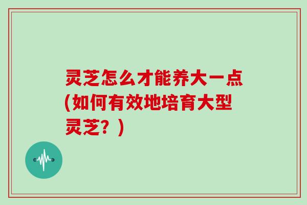 灵芝怎么才能养大一点(如何有效地培育大型灵芝？)