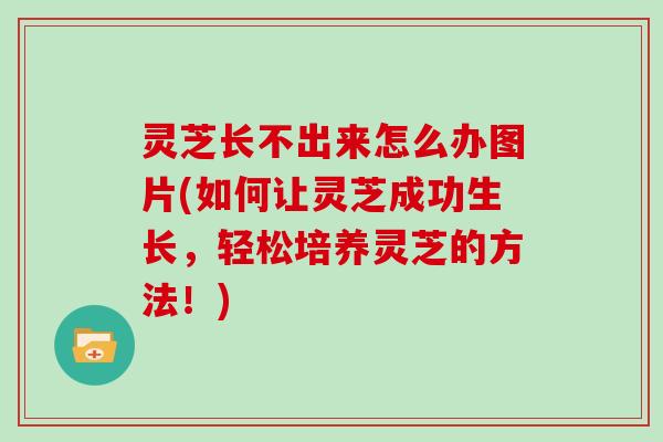 灵芝长不出来怎么办图片(如何让灵芝成功生长,轻松培养灵芝的方法!)-第1张图片-灵芝大师 灵芝长不出来怎么办图片(如何让灵芝成功生长,轻松培养灵芝的方法!)-第1张图片-灵芝大师
