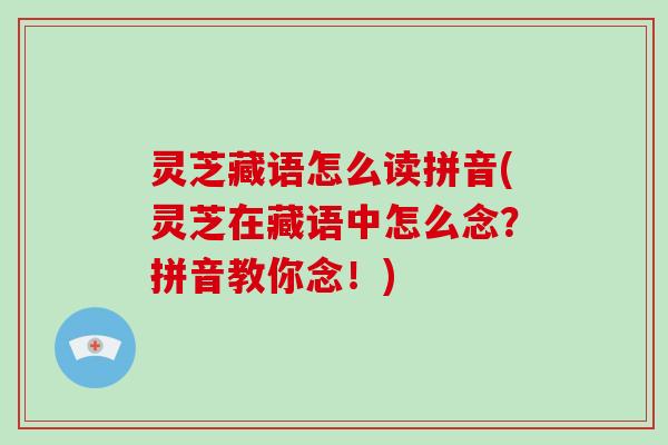灵芝藏语怎么读拼音(灵芝在藏语中怎么念？拼音教你念！)