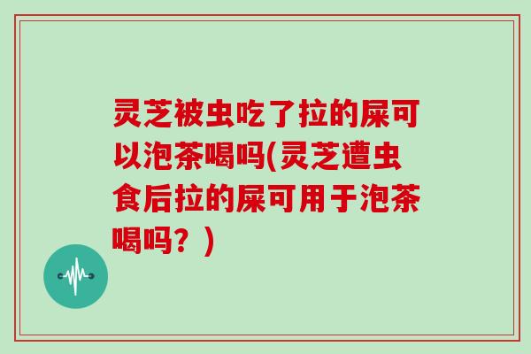 灵芝被虫吃了拉的屎可以泡茶喝吗(灵芝遭虫食后拉的屎可用于泡茶喝吗？)