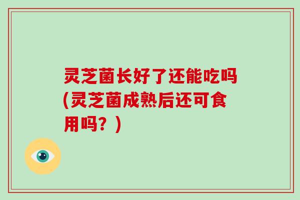 灵芝菌长好了还能吃吗(灵芝菌成熟后还可食用吗？)-第1张图片-灵芝大师